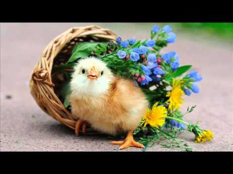 TPM Tamil Song No. 453 - Unthan Balathile Deva Ezhuntharulum.....