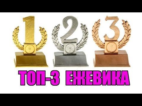 Итоги сезона 2019. Топ-3 сортов ежевики