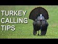 TURKEY CALLING TIPS Turkey Sounds And What They Mean