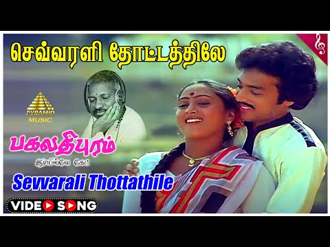 Sevvarali Thottathile Video Song | Bhagavathipuram Railway Gate Movie Songs | Karthik | Rajyalakshmi