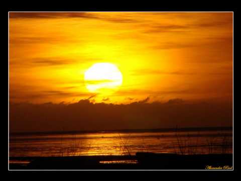 LzudemX - Was zum Ende bleibt