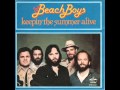 The Beach Boys - Santa Ana Winds