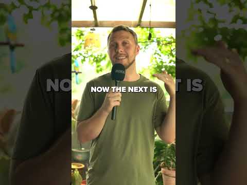 Welchen arabischen Dialekt solltest DU lernen?!? 🤔 #shorts