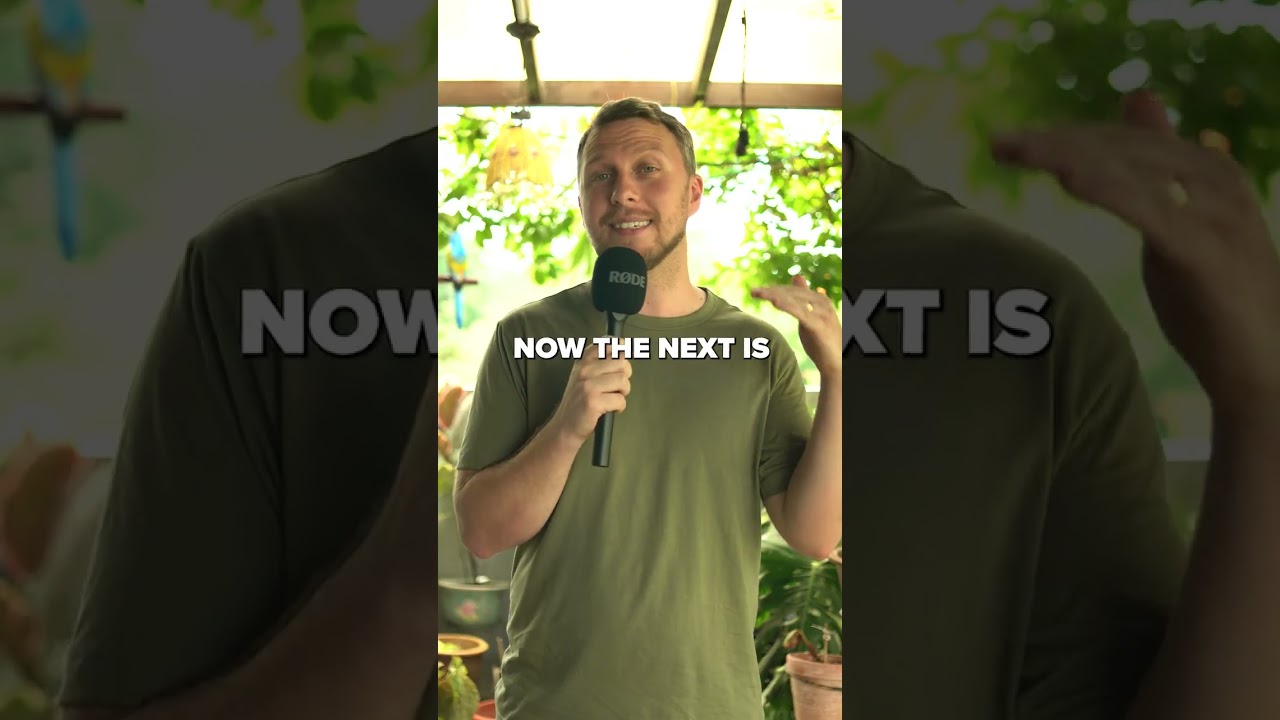 Which ARABIC Dialect Should YOU Learn?!? 🤔 #shorts