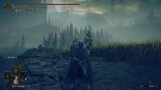 エルデンリングDLCを全力で楽しむ Part1