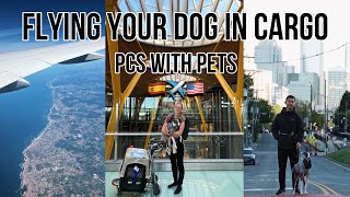 Flying your dog in cargo | PCSing overseas with pets | moving from Europe to the U.S. with our dog