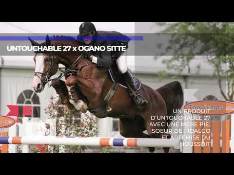 01 Untouchable 27 x Ogano Sitte