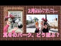 【ディズニーシー】寒さに負けない！真冬のパークをあったかグルメとトータリーミニーで楽しむ一日！【disney vlog】