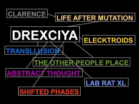 Drexciya talk at Dublin's Hugh Lane Gallery 2017 w/Stephen Rennicks & Richard Brophy