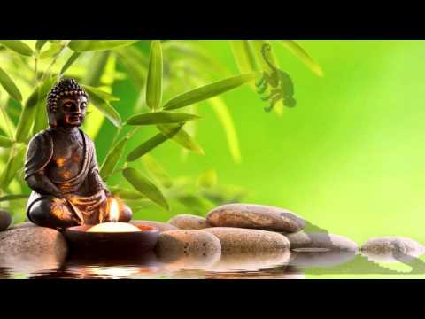 10. Małpa i Krokodyl - Jātaki - bajki buddyjskie