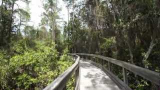 preview picture of video 'Nature Tour with Snookie Parrish in Alys Beach, Florida'