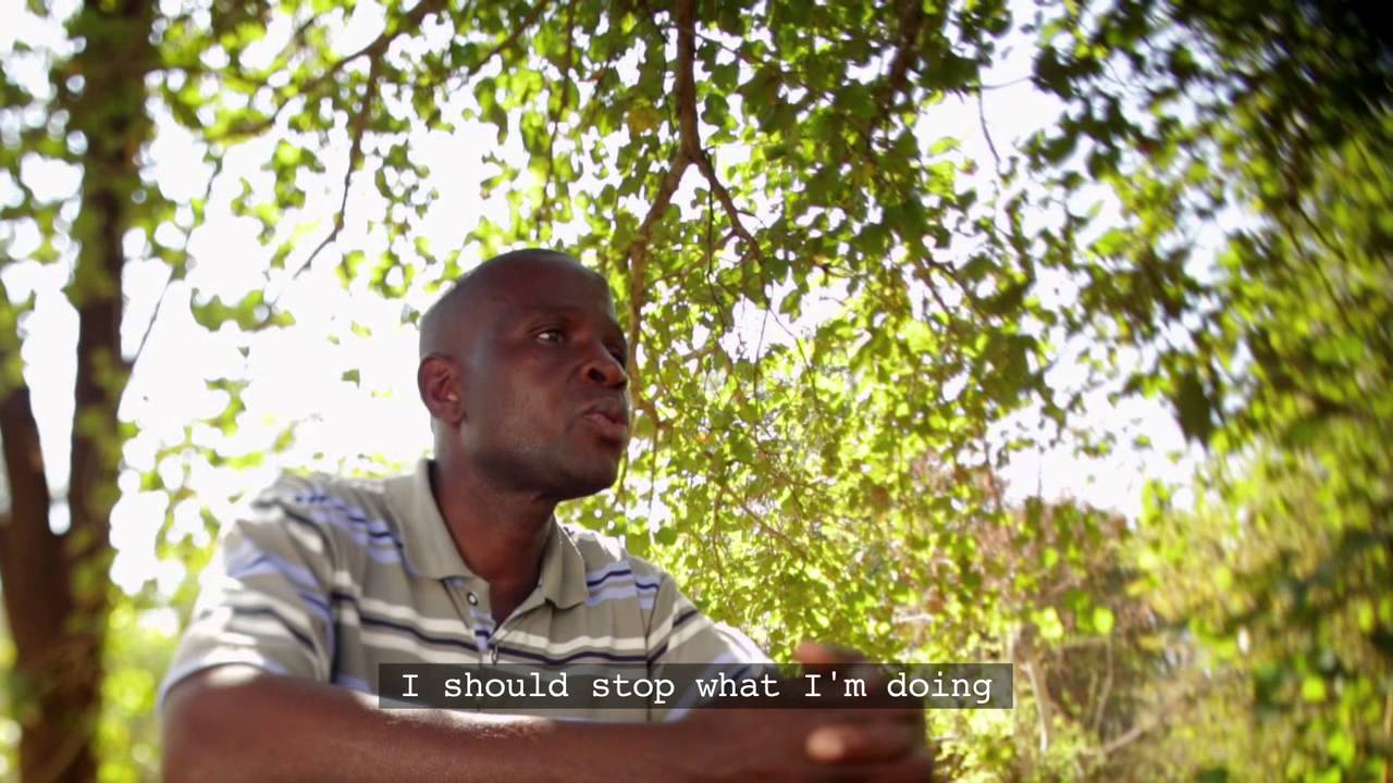 AMAZING GRACE by Rowan Pybus, South Africa - Forest Film Winner