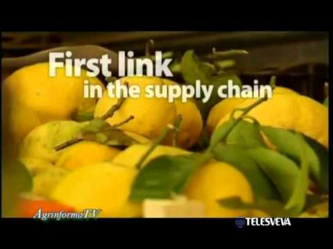 AGRINFORMA TV (10 gennaio 2014)