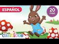 Baila Canta Y Brinca Con El Conejo Sammy Hoppy Songs With Sammy Videos For Kids Canticos