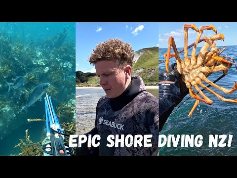 2 days Shore Diving NZ | Spearfishing Catch Cook!