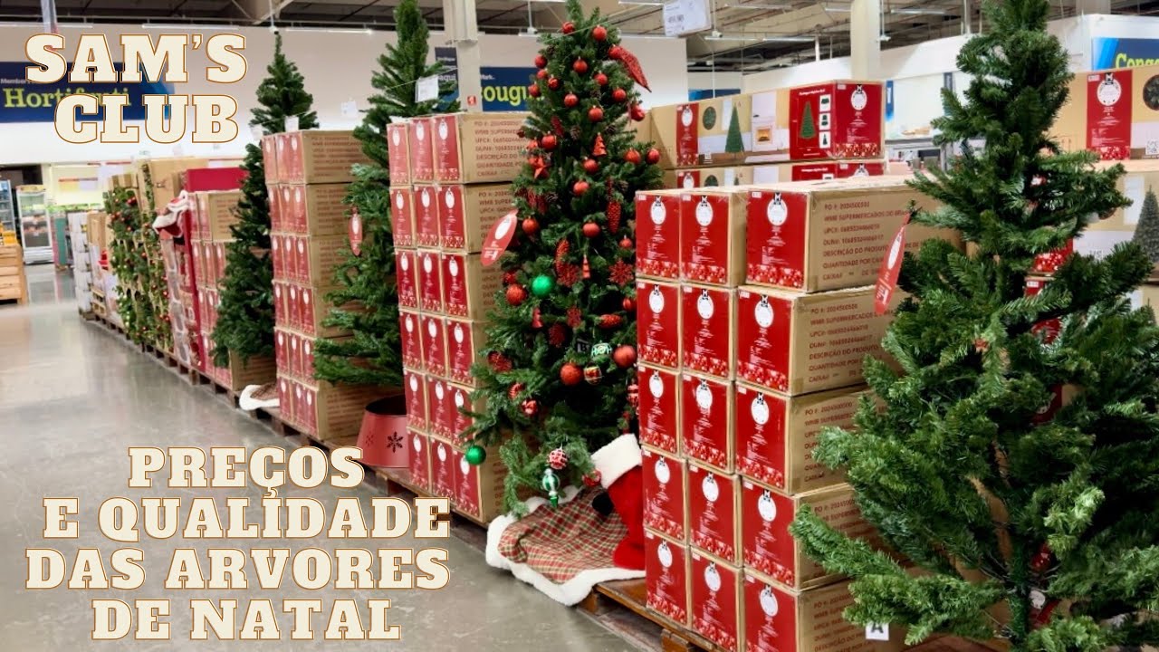 PREÇOS,MODELOS,TAMANHOS E QUALIDADE DAS ÁRVORES DE NATAL  2024 NO SAM’S CLUB DE CAMPINAS.