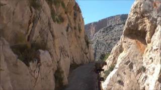 Chris Rea   Looking for a rainbow