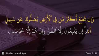 Download lagu Surah Al-An'am, verse 116 mp3