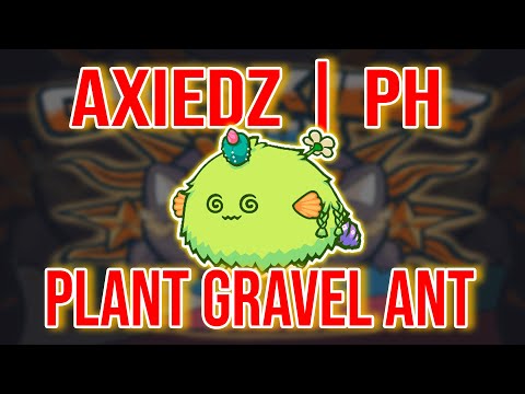Top 1 Leaderboard AXIEDZ | PH Playing Gravel Ant Plant Also Gameplay(9/28/2021) | Axie Infinity