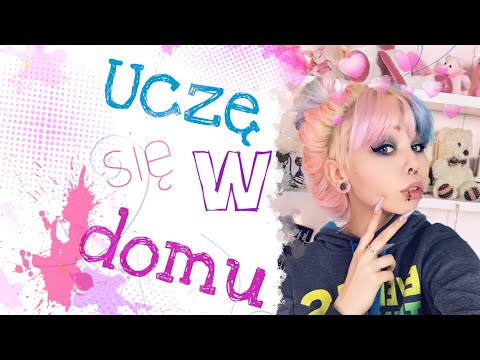 Nauczanie indywidualne - plusy, minusy