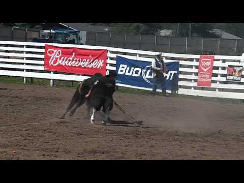 Prime Time Bucking Bull:  73 Ringer