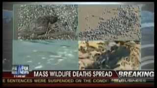 C.H.A.D The Change - Sign Of The Times (f. Muhsinah)