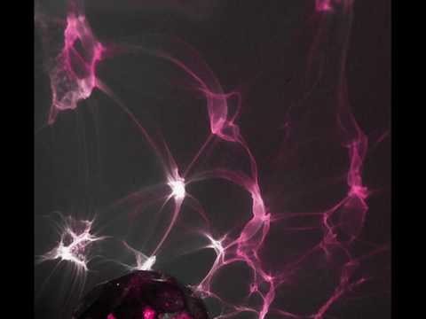 I want you (stellar Project)