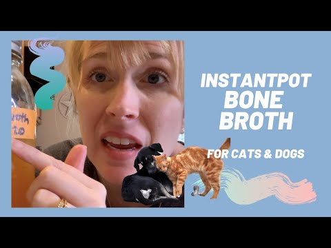 SIMPLE RECIPE | InstantPot Bone Broth Easy Recipe for Dogs | Bone Broth for Cats