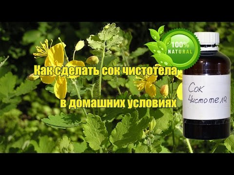 Olio di uovo da eczema Dermatite di atopic a bambini di gravità