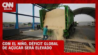 Vídeo: Déficit global de açúcar deve atingir 6,28 milhões de toneladas devido ao El Niño | CNN AGRO NEWS