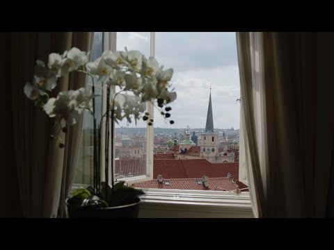 Náhled pro video reference