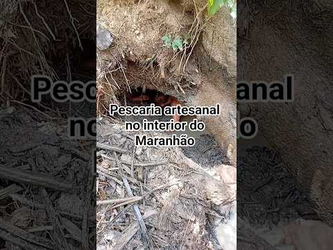 Pescaria tradicional Povoado (CONTENDAS) ITAPECURU MIRIM-MA