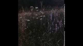 the wytches - track 13 (cover)