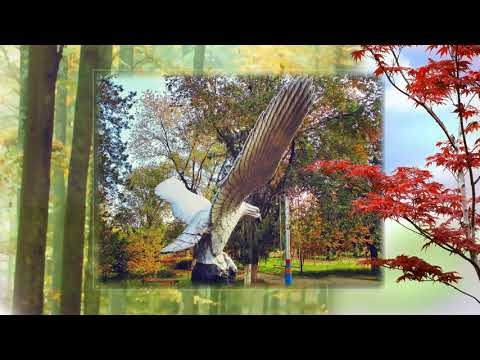 Кентау! Осень в старом парке!