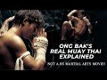 Ong Bak S Real Muay Thai Explained