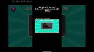Garfield Cat is this breed #gamingshorts #gamingvideos #usa #cat #uk #cutecat #kitten #catshorts #eu
