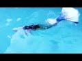 Mermaid Swimming In A Private Pool