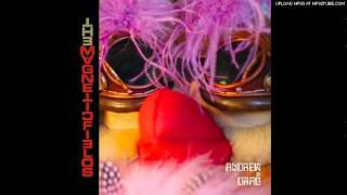 The Magnetic Fields - Andrew In Drag