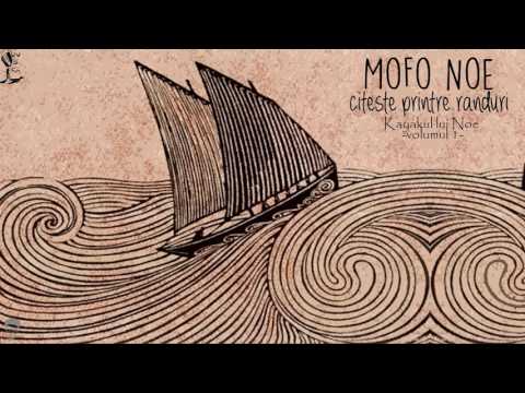 MoFo Noe - Predica patriarhului 2017