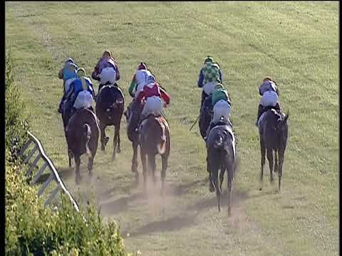 Galoppo 18/06/2019 - 5ª corsa