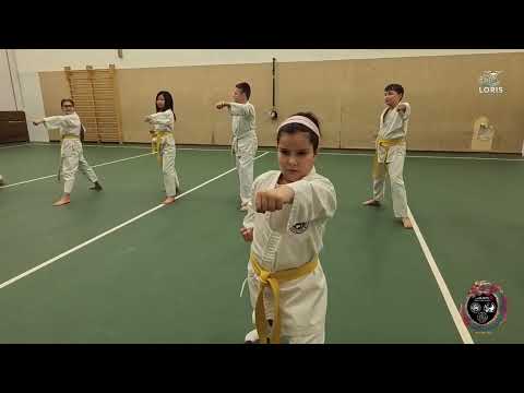 KARATE CORSO KARATE SHOTOKAN TERRANEGRA LEGNAGO