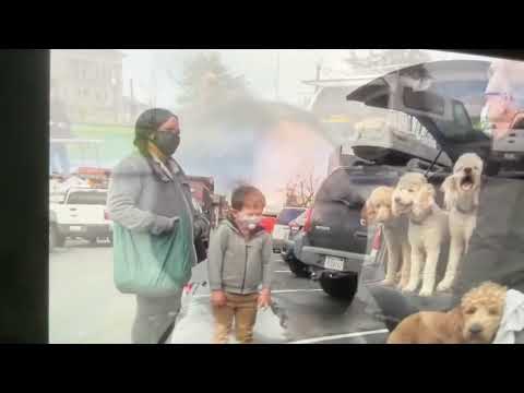 Channel 7 Interview with Frank Mallatt — Part 2