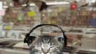 Chapter 2 of My story (In description box)