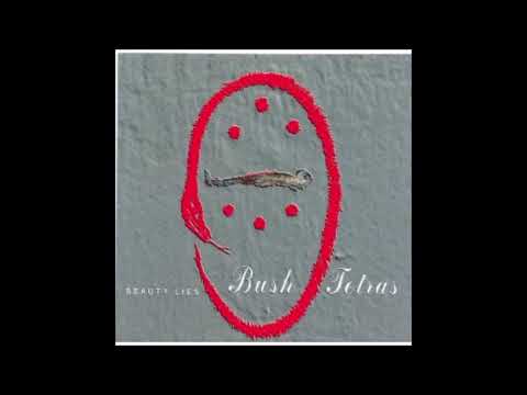 Bush Tetras – Beauty Lies-Full Album