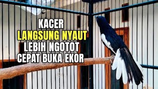 Download lagu KACER GACOR KONSLET FULL ISIAN TEMBAKAN KASAR AMPUH MEMANCING EMOSI LANGSUNG NYAUT LEBIH NGOTOT mp3 Download lagu KACER GACOR KONSLET FULL ISIAN TEMBAKAN KASAR AMPUH MEMANCING EMOSI LANGSUNG NYAUT LEBIH NGOTOT mp3