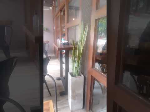 visitando cafés: fra noi, la falda. Cordoba.