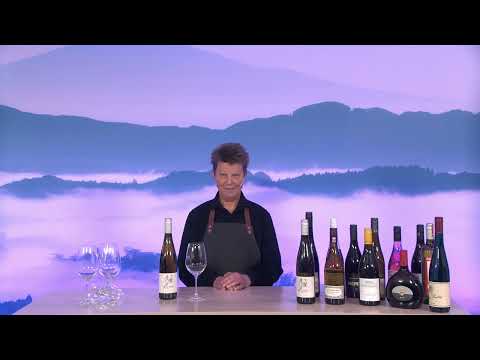 Wein des Monats - Februar 2023 - Weingut Zeter