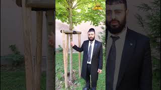 מה למד הרב חייאיב מהגנן באוסטריה | סיפור מרגש ומחזק במיוחד (קו ההלכה הספרדי) - התמונה מוצגת ישירות מתוך אתר האינטרנט יוטיוב. זכויות היוצרים בתמונה שייכות ליוצרה. קישור קרדיט למקור התוכן נמצא בתוך דף הסרטון מה למד הרב חייאיב מהגנן באוסטריה | סיפור מרגש ומחזק במיוחד (קו ההלכה הספרדי) - התמונה מוצגת ישירות מתוך אתר האינטרנט יוטיוב. זכויות היוצרים בתמונה שייכות ליוצרה. קישור קרדיט למקור התוכן נמצא בתוך דף הסרטון