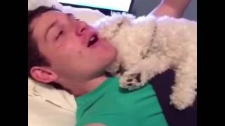 BEST DOG EVER COMPILATION! || PATRICK BARNES AND QUINCY VINES
