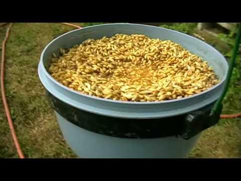 Fermentiertes Getreide zubereiten und verfüttern